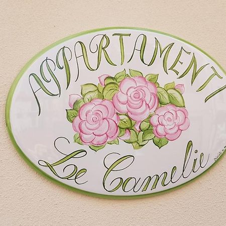 Le Camelie -Appartamenti Nuovi Porto SantʼElpidio 外观 照片